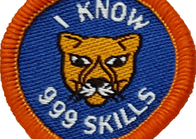 LP 999 Skills Badge