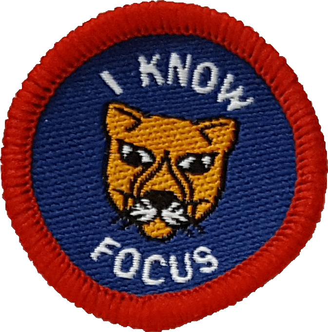 LP Focus Badge