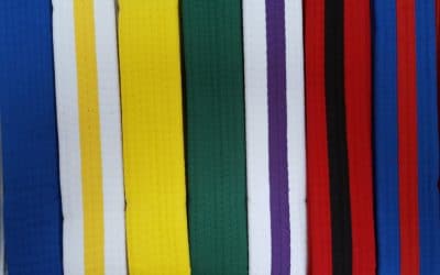 Coloured Belt Pregrading (8/11/17) and Grading 4/12/17)