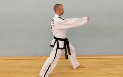 Self-Belief and Discipline – Why learning Stances is so Important