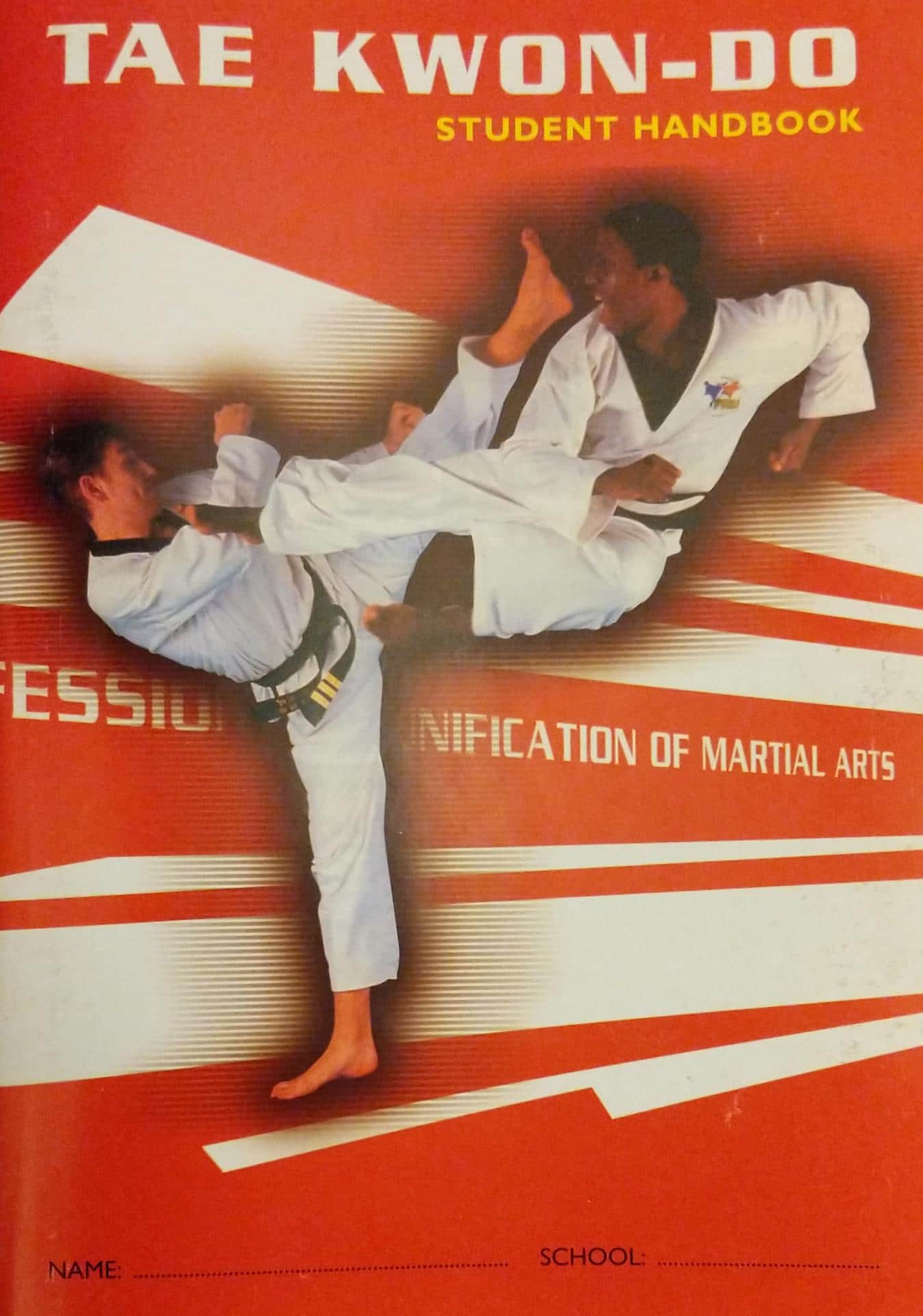 Playwell Striped Coloured Grading Belts 280CM Karate Judo Taekwondo Martial Arts 